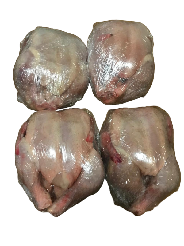 Broiler Chicken (R180/kg) - Image 2