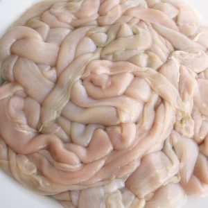 Intestines