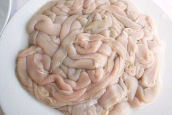 Intestines