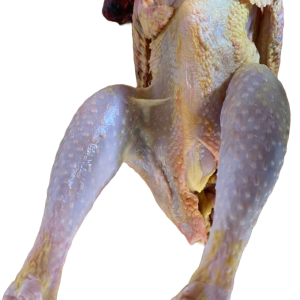 Roadrunner Chicken