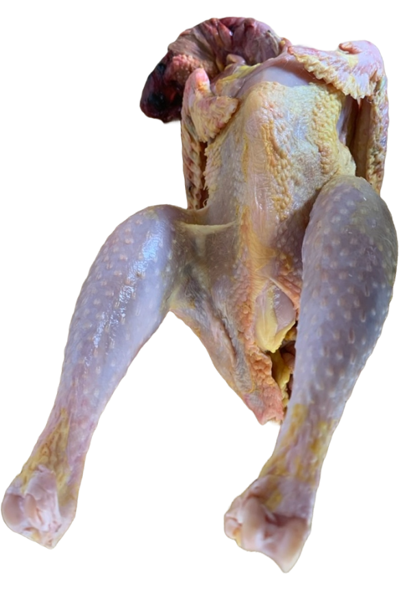 Roadrunner Chicken
