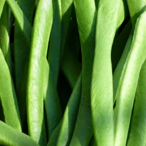 Beans Runner Lazy Housewife