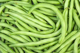 Dwarf Bean