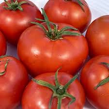 Tomato Heinz 1370