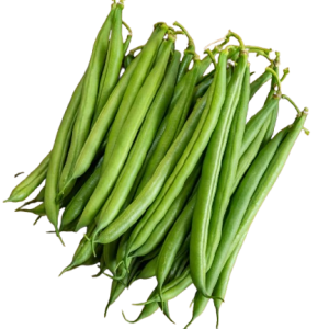 Beans Malelane